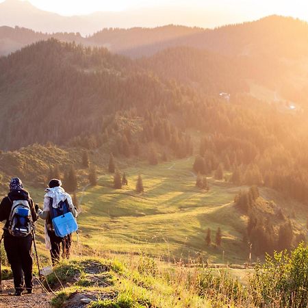 Heimatel - Ferienwohnungen Steibis Oberstaufen Exteriér fotografie